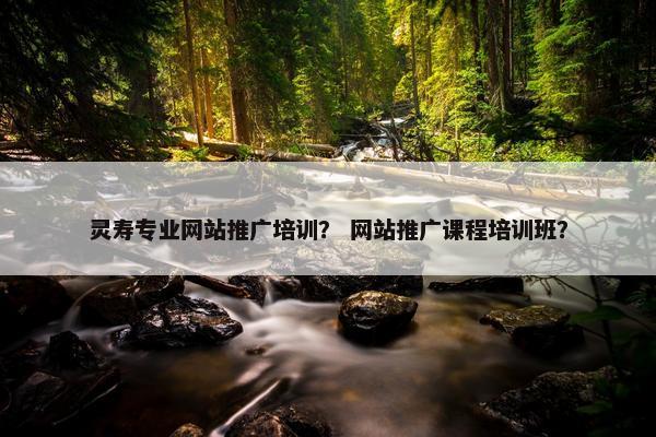 灵寿专业网站推广培训？ 网站推广课程培训班？