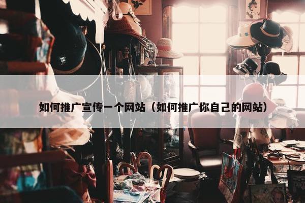 如何推广宣传一个网站（如何推广你自己的网站）
