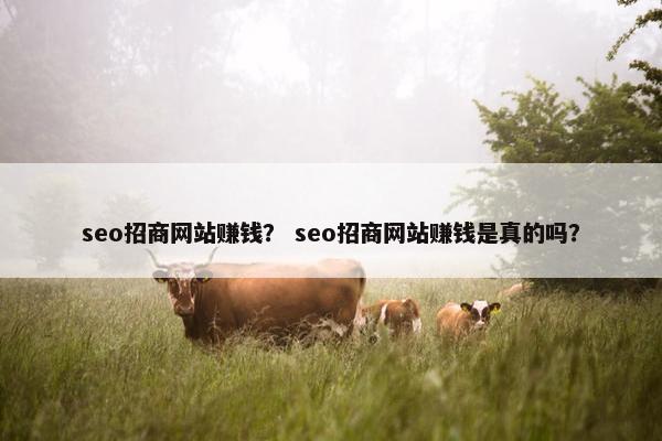seo招商网站赚钱？ seo招商网站赚钱是真的吗？