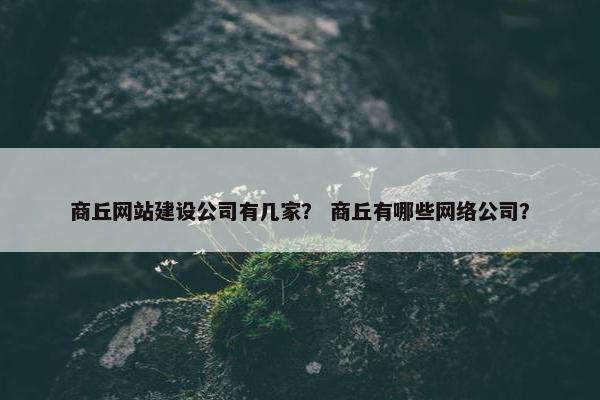 商丘网站建设公司有几家？ 商丘有哪些网络公司？