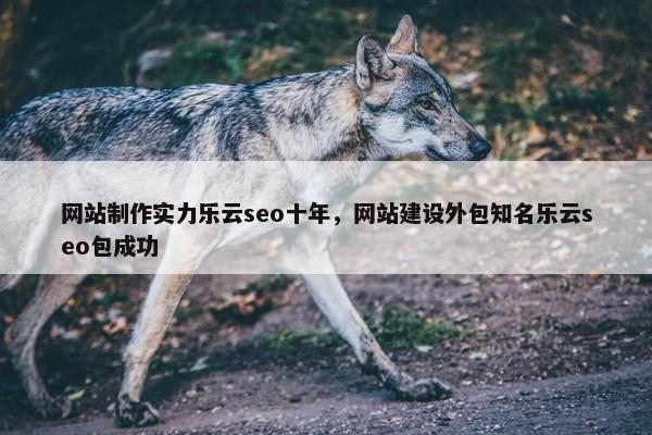 网站制作实力乐云seo十年，网站建设外包知名乐云seo包成功
