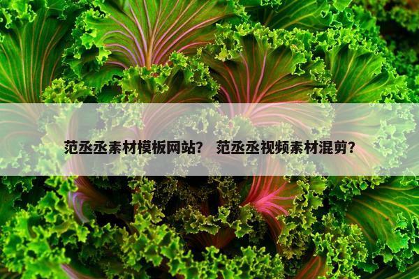 范丞丞素材模板网站？ 范丞丞视频素材混剪？