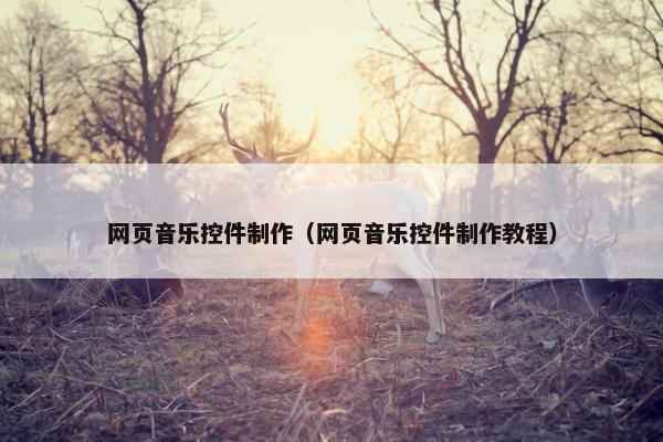 网页音乐控件制作（网页音乐控件制作教程）