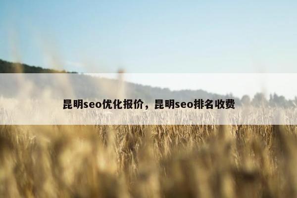 昆明seo优化报价，昆明seo排名收费