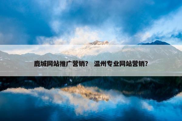 鹿城网站推广营销？ 温州专业网站营销？