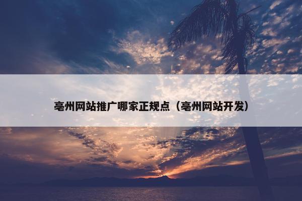 亳州网站推广哪家正规点（亳州网站开发）