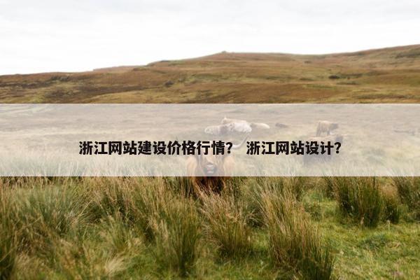 浙江网站建设价格行情？ 浙江网站设计？