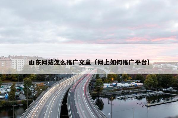 山东网站怎么推广文章（网上如何推广平台）
