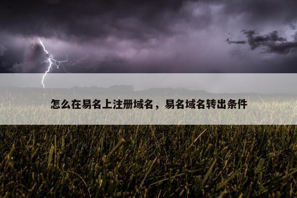 怎么在易名上注册域名，易名域名转出条件