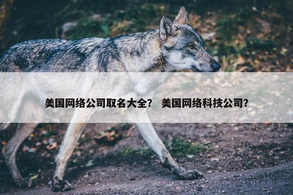 美国网络公司取名大全？ 美国网络科技公司？