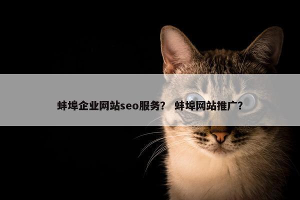 蚌埠企业网站seo服务？ 蚌埠网站推广？