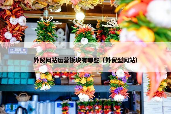 外贸网站运营板块有哪些（外贸型网站）