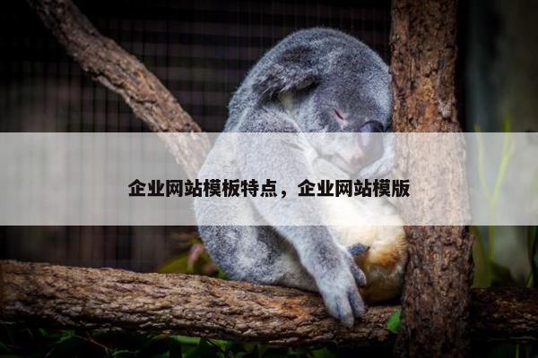 企业网站模板特点，企业网站模版