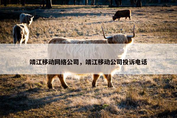 靖江移动网络公司，靖江移动公司投诉电话