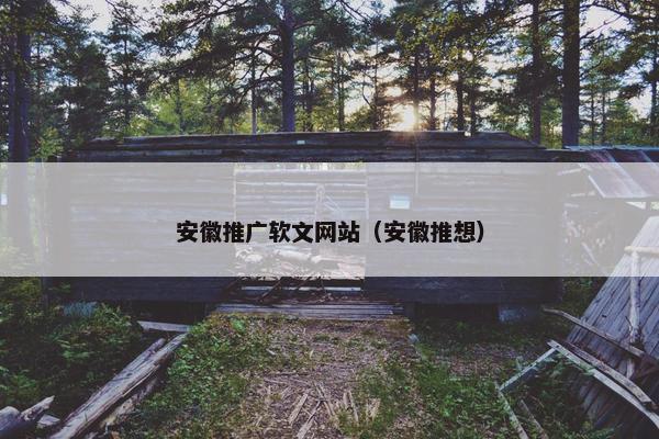 安徽推广软文网站（安徽推想）