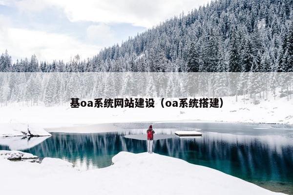 基oa系统网站建设（oa系统搭建）