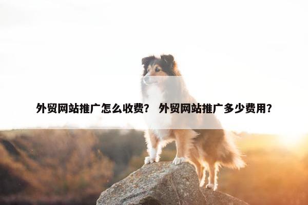 外贸网站推广怎么收费？ 外贸网站推广多少费用？