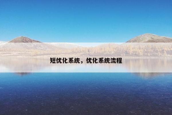 短优化系统，优化系统流程