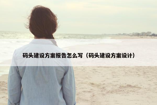 码头建设方案报告怎么写（码头建设方案设计）