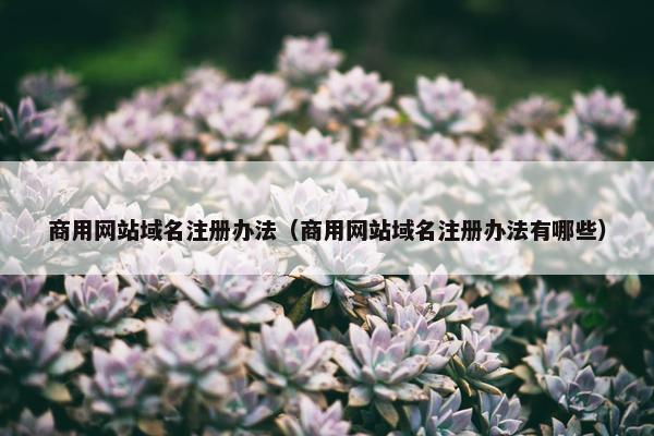 商用网站域名注册办法（商用网站域名注册办法有哪些）