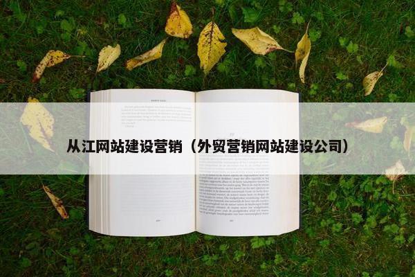 从江网站建设营销（外贸营销网站建设公司）