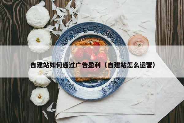 自建站如何通过广告盈利（自建站怎么运营）