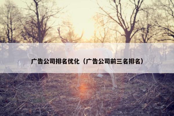 广告公司排名优化（广告公司前三名排名）