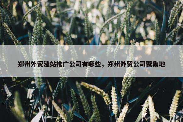 郑州外贸建站推广公司有哪些，郑州外贸公司聚集地