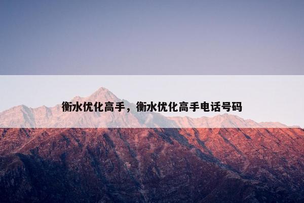 衡水优化高手，衡水优化高手电话号码