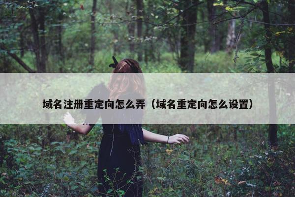 域名注册重定向怎么弄（域名重定向怎么设置）