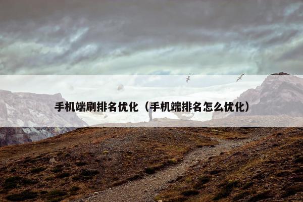 手机端刷排名优化（手机端排名怎么优化）
