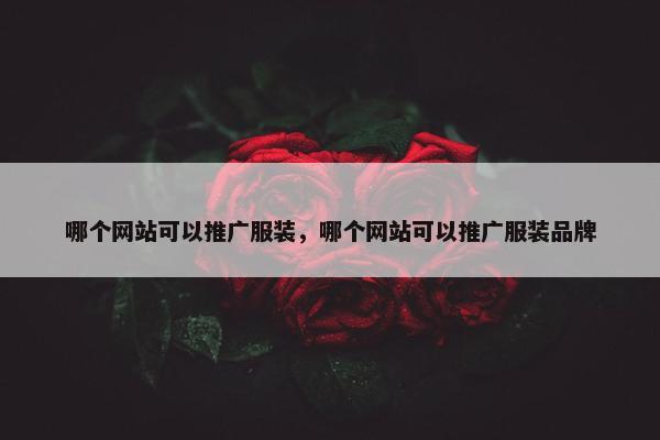 哪个网站可以推广服装，哪个网站可以推广服装品牌
