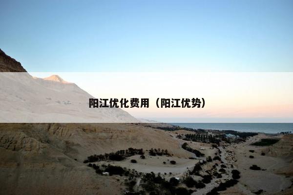 阳江优化费用（阳江优势）