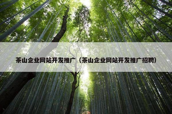 茶山企业网站开发推广（茶山企业网站开发推广招聘）
