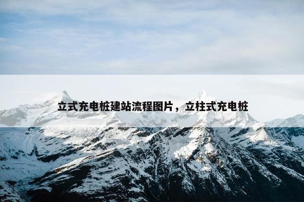 立式充电桩建站流程图片，立柱式充电桩