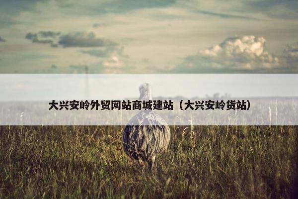 大兴安岭外贸网站商城建站（大兴安岭货站）