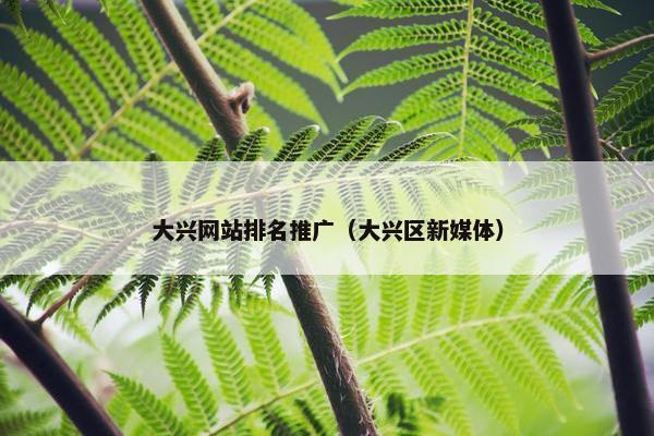 大兴网站排名推广（大兴区新媒体）