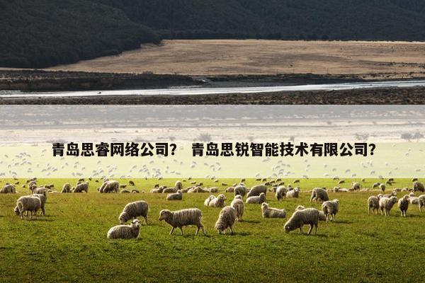 青岛思睿网络公司？ 青岛思锐智能技术有限公司？