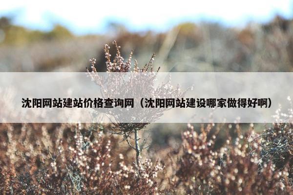 沈阳网站建站价格查询网（沈阳网站建设哪家做得好啊）