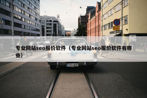 专业网站seo报价软件（专业网站seo报价软件有哪些）