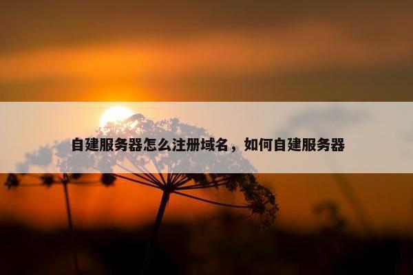 自建服务器怎么注册域名，如何自建服务器