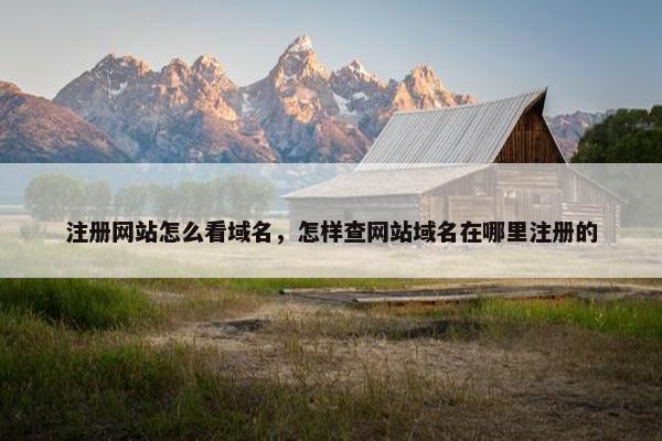 注册网站怎么看域名，怎样查网站域名在哪里注册的
