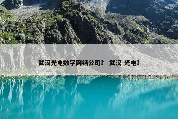 武汉光电数字网络公司？ 武汉 光电？