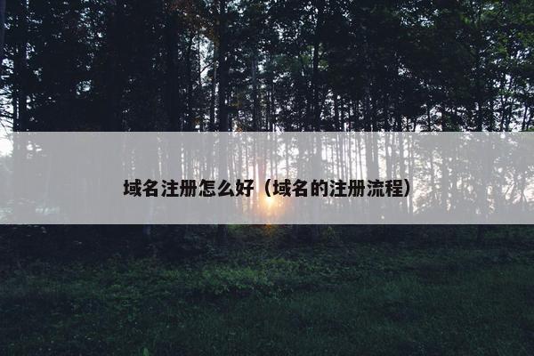 域名注册怎么好（域名的注册流程）