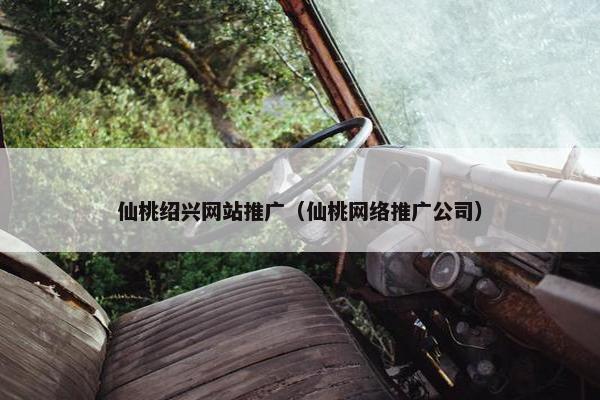 仙桃绍兴网站推广（仙桃网络推广公司）
