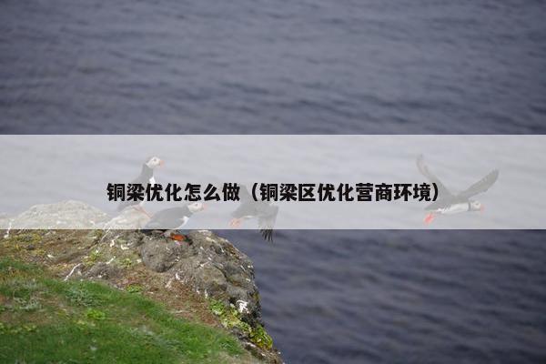 铜梁优化怎么做（铜梁区优化营商环境）