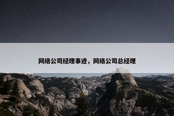 网络公司经理事迹，网络公司总经理