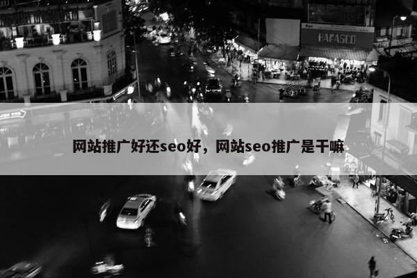 网站推广好还seo好，网站seo推广是干嘛