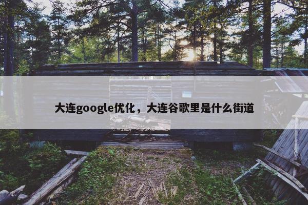 大连google优化，大连谷歌里是什么街道