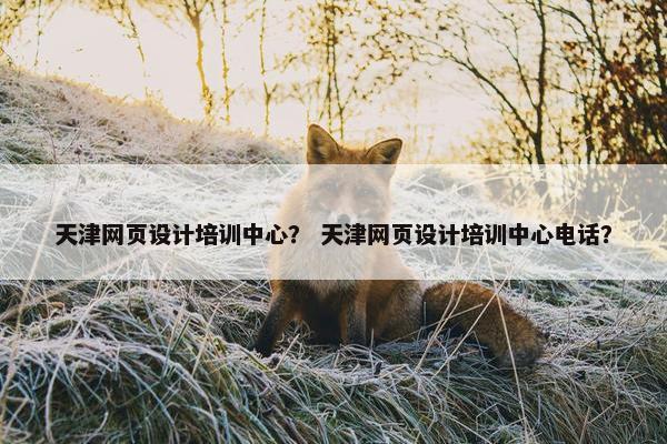 天津网页设计培训中心？ 天津网页设计培训中心电话？